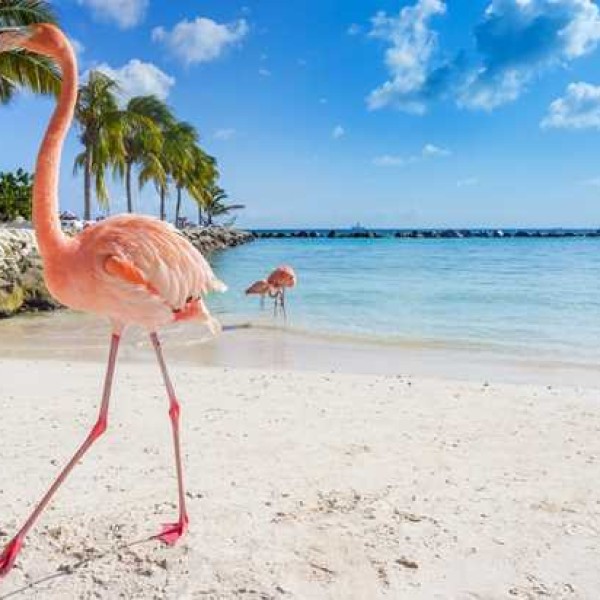 Sueño Caribeño