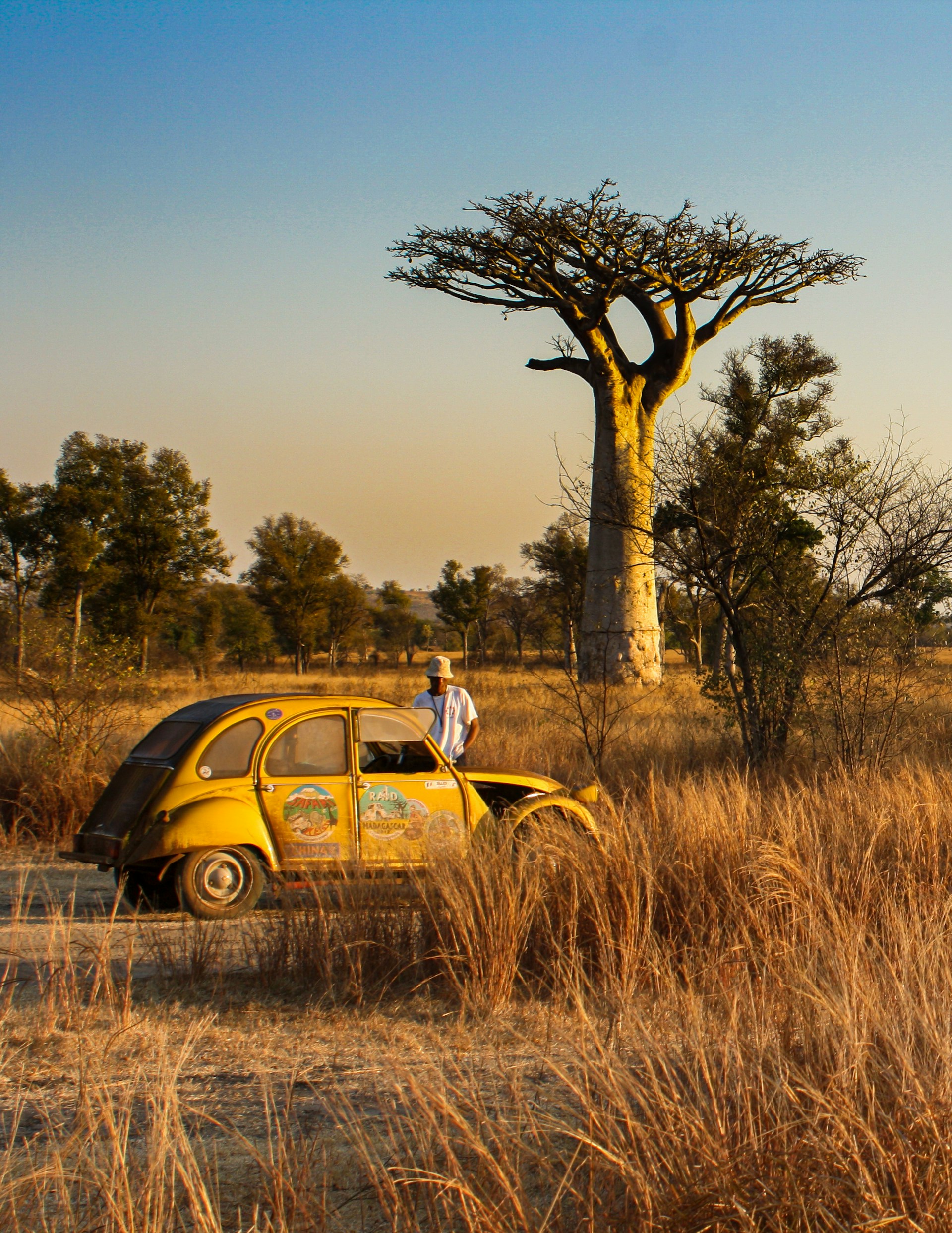 My African Life