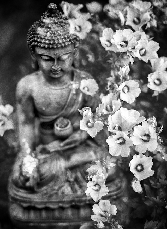 Om Saraswati Sacred Song for Divine Wisdom