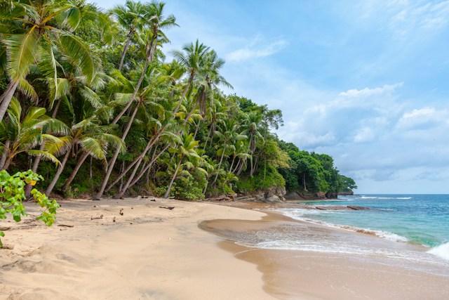 Beach Dreams