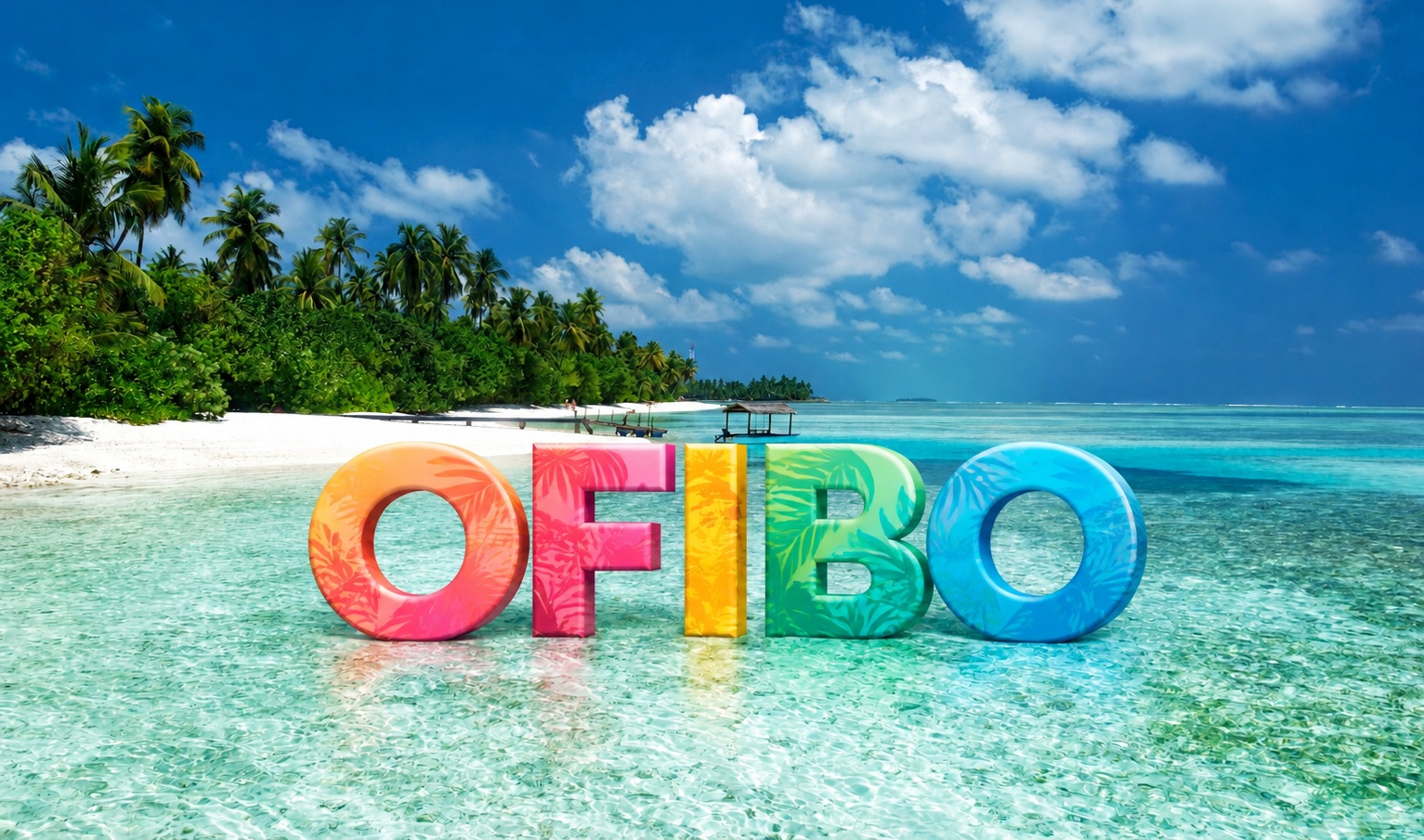 Ofibo cover