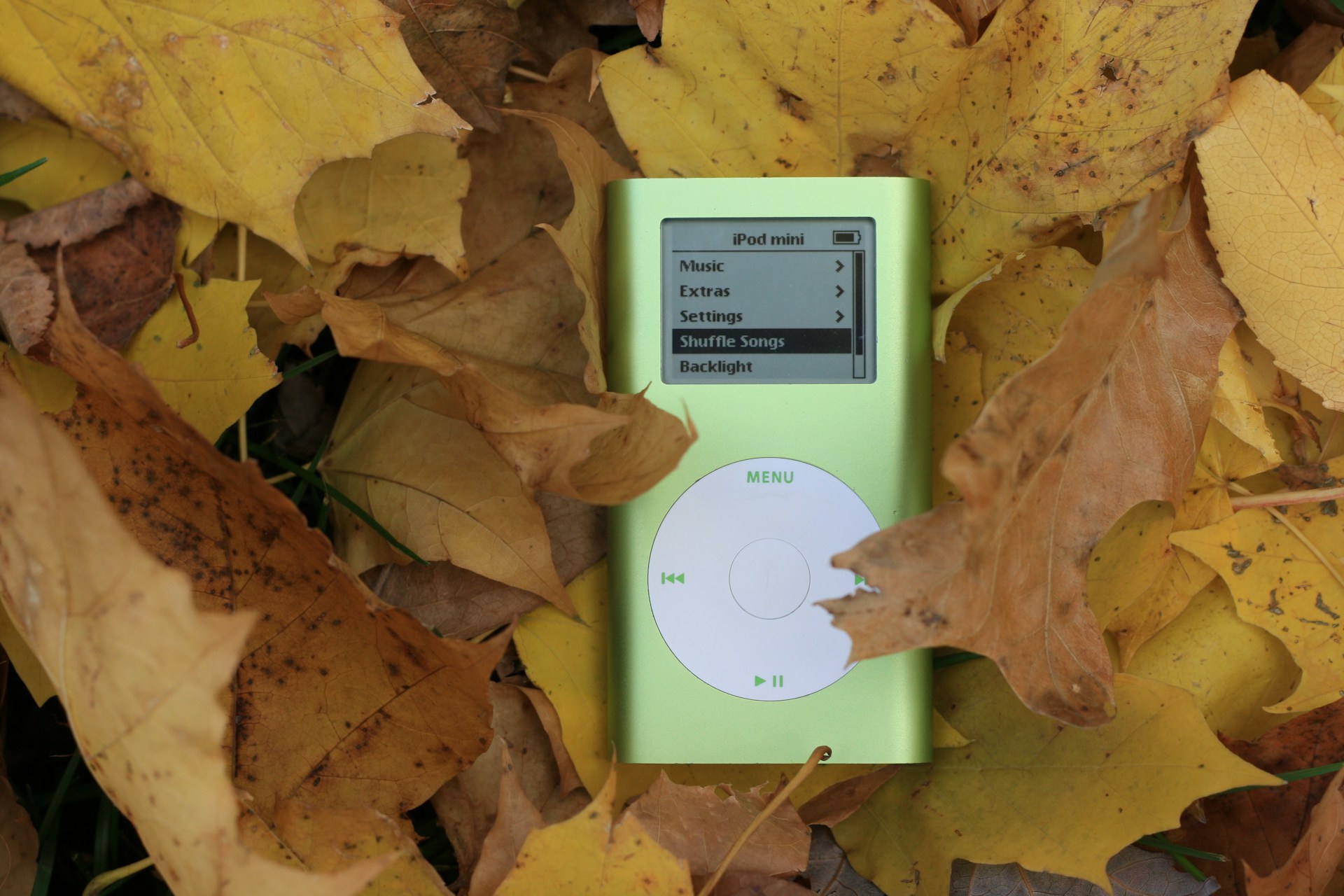 Shuffle Is Now Working Perfectly on OFIBO Music 🎵